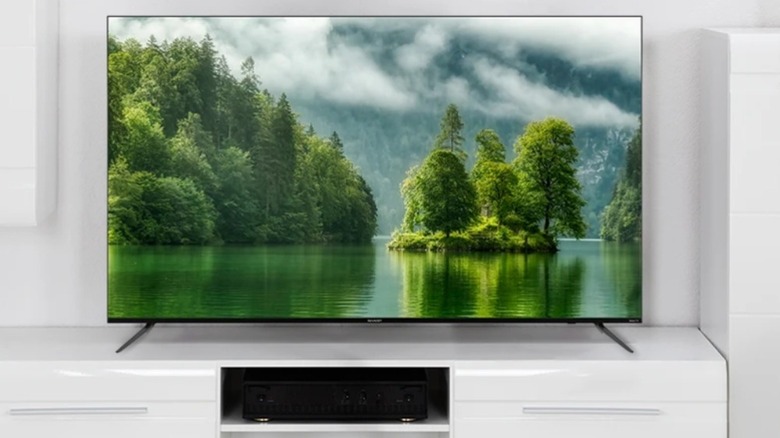 A TV displaying an image of a mountain lake and trees on a white stand against a white wall.