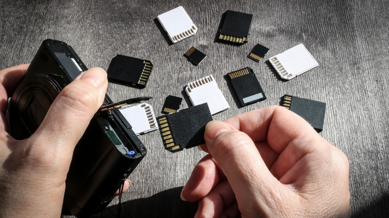 Hand inserting an SD card into a camera