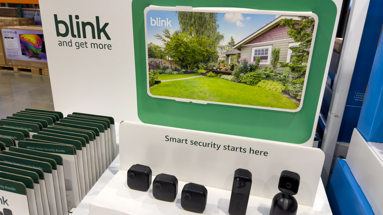 blink camera display at store