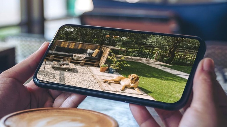 app view for blink outdoor 4 camera