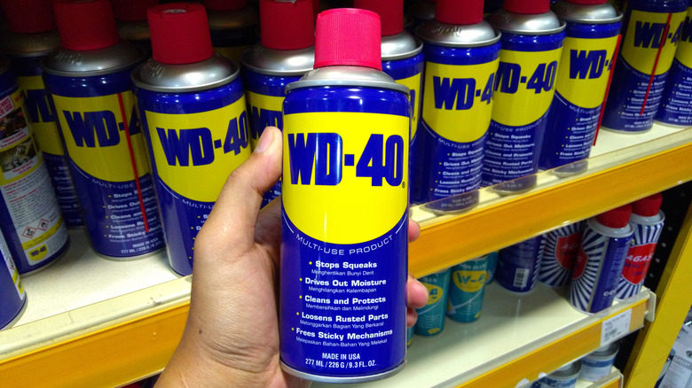 A person holding a can of WD-40