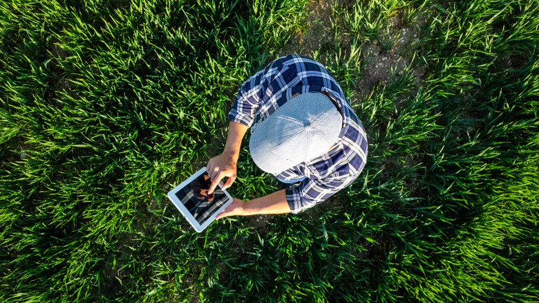 Person standing in field holding tablet used to control drone that took the photo above