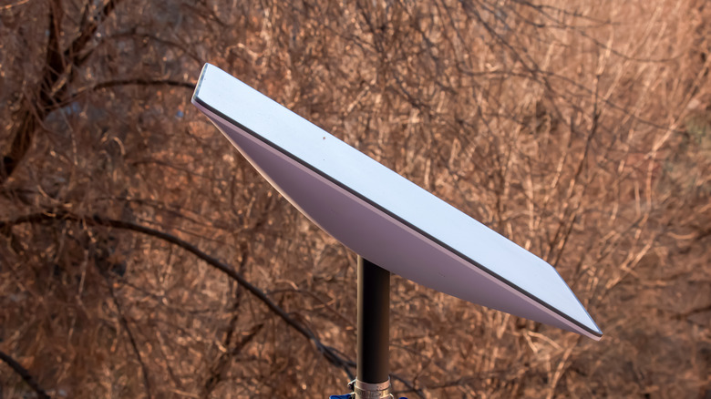 satellite dish in the woods