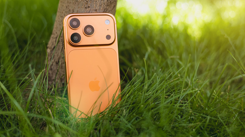 Apple iPhone 17 Pro in Cosmic Orange color against a tree in green grass