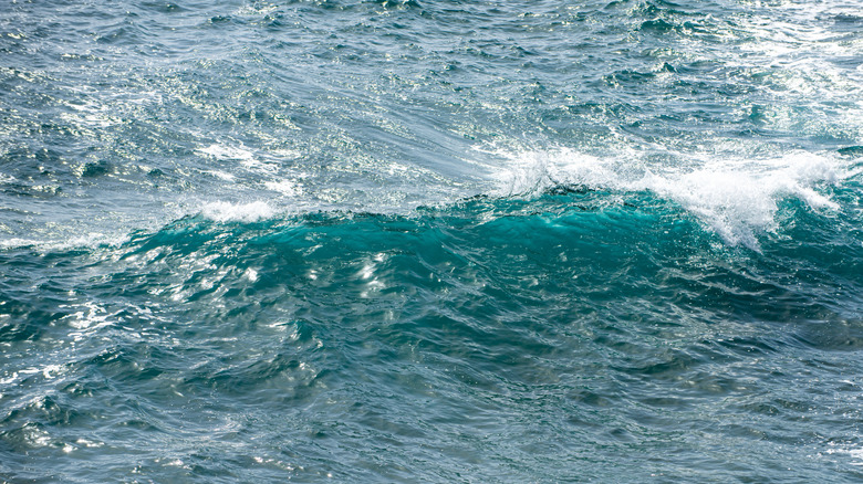 foamy ocean waves