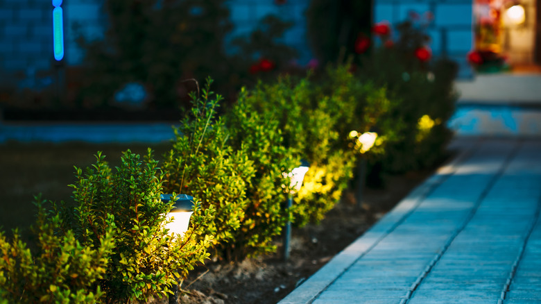 Lighting along home's outdoor walkway