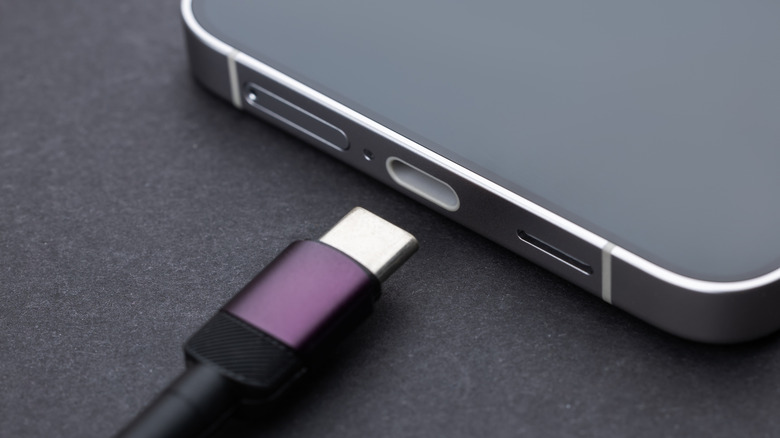 A zoomed-in shot of a USB Type-C port on an iPhone.