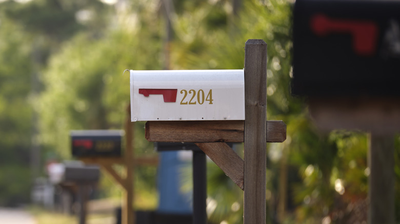 Mailboxes on a suburban road.