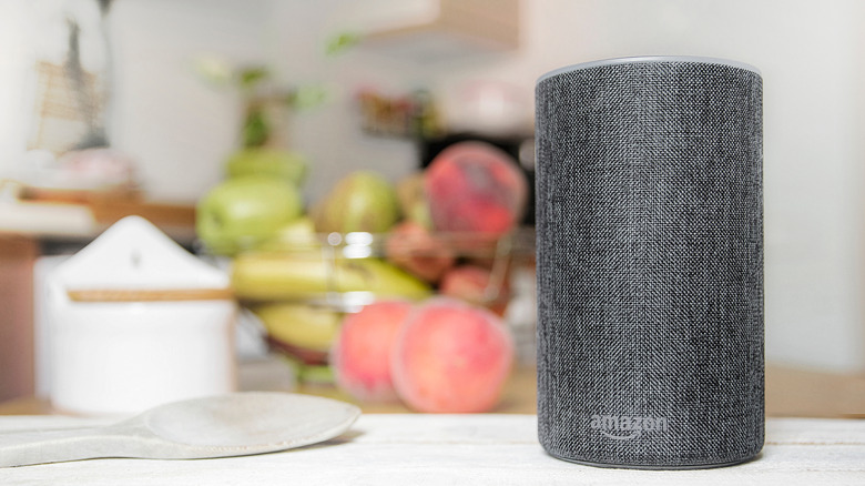 A gray Amazon Echo on a kitchen counter