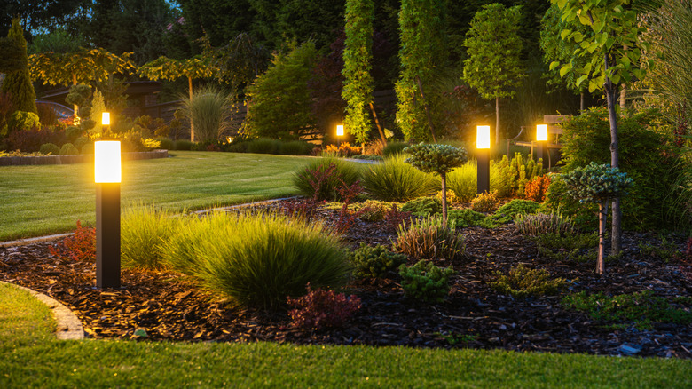 Outdoor lights within landscaping