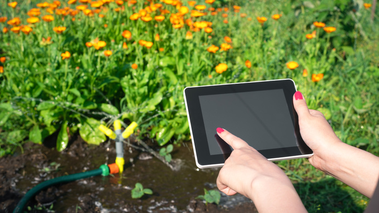 A woman's hands touching a tablet while looking at the sprinkler in a garden