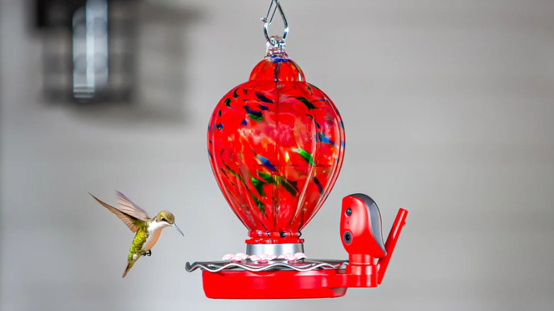 The Solar Smart Hummingbird glassblown, red feeder