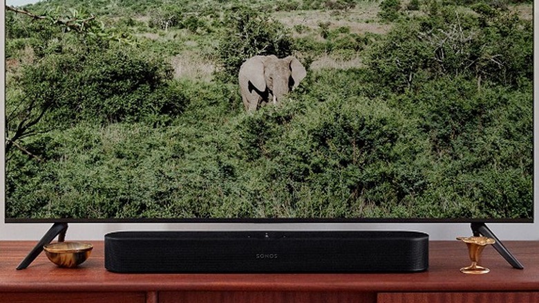 A black Sonos soundbar placed underneath a smart TV displaying an elephant among trees