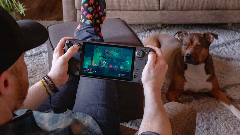 Person playing on Steam Deck in front of a dog