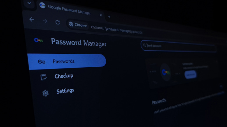 Google Password Manager page in Chrome