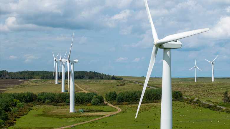 A field of wind turbines