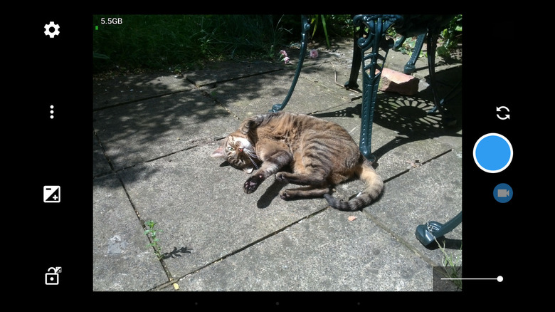 The Open Camera interface while the phone camera is pointed at a cat
