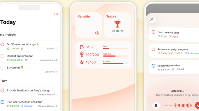 Screenshot from the Todoist app