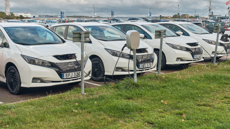 Nissan Leafs as part of a rental fleet