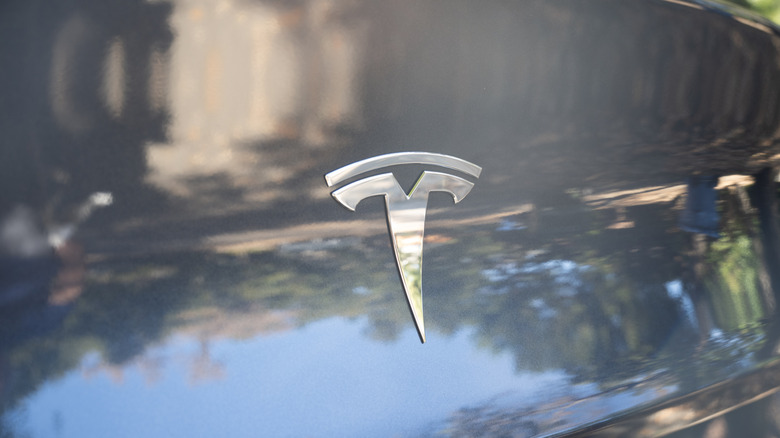 The logo for Tesla Motors on the rear of a Model Y vehicle