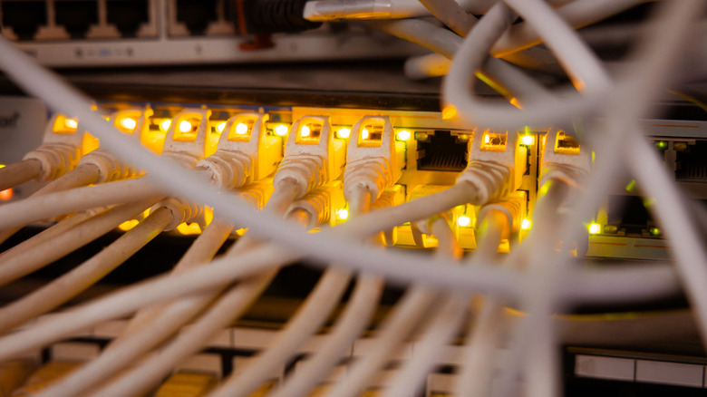 Numerous Ethernet cables connected to a router or network switch.