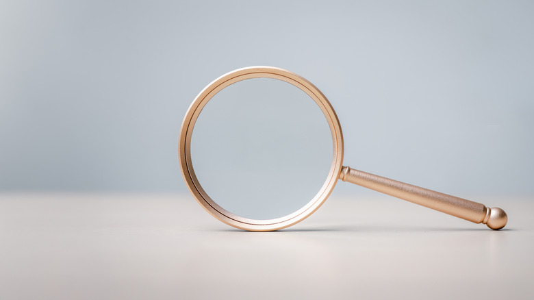A magnifying glass leaning on its side