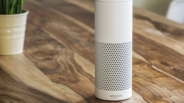 Amazon Echo Plus.