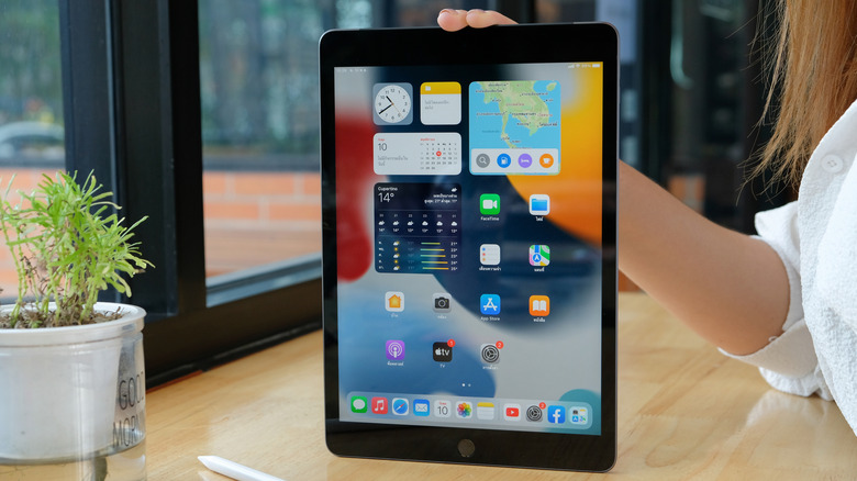 A person holding a 9th-generation iPad vertically.