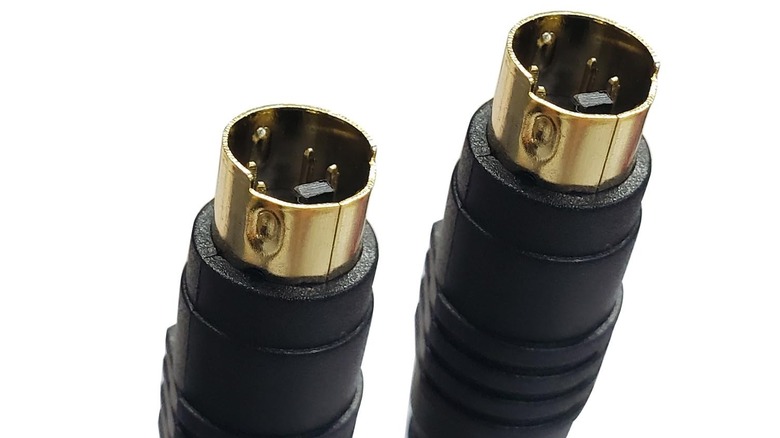 Two S-video connectors placed beside each other.