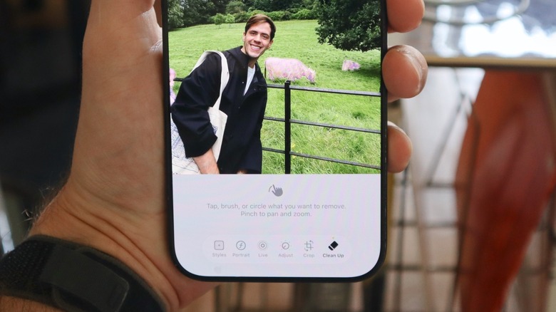 Clean Up tool on iPhone recognizes objects in the background and suggests removing them