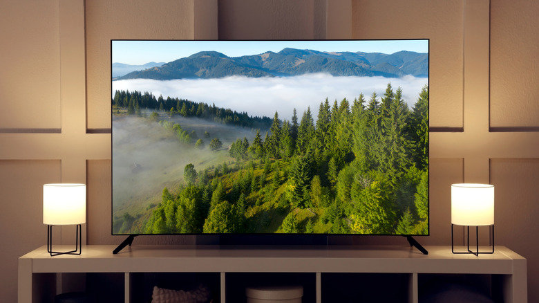 a TV screen showing a bright landscape