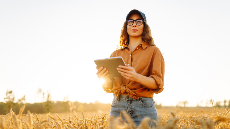 woman using a tablet outdoors in bright sunlight
