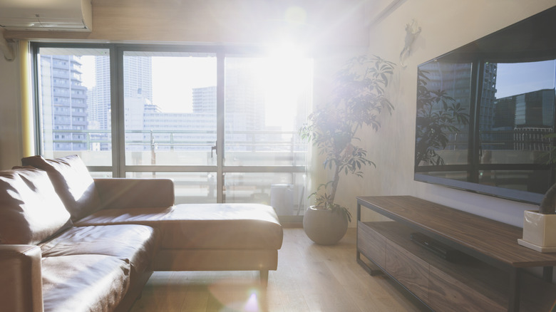 Sunlight pouring into a living room, causing glare on a TV screen.