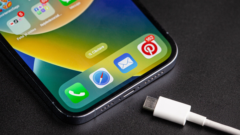 A charger being plugged into an iPhone