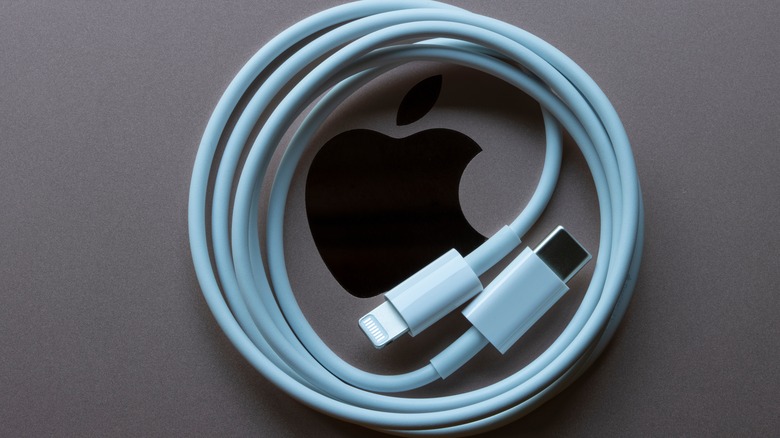 old Apple lightning cable sitting on Mac laptop