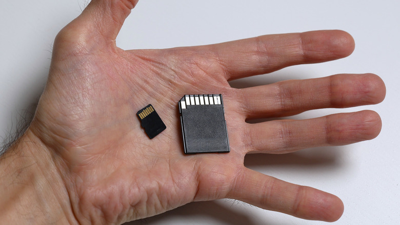 A regular SD card next to a Micro SD in the palm of someone's hand.