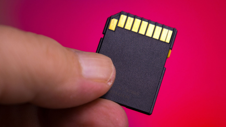 Back of an SD card up close with the gold-plated pins visible.