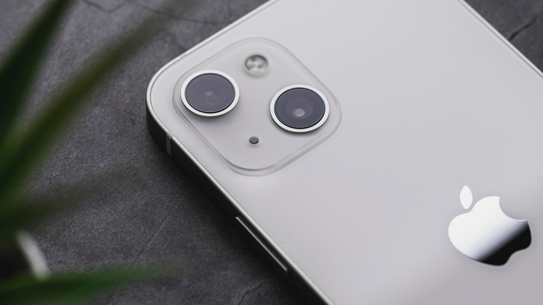 The back view of an iPhone 13