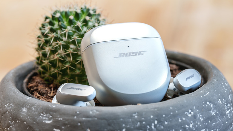 The Bose QuietComfort Ultra Earbuds (2nd Gen) in a pot with a cactus.