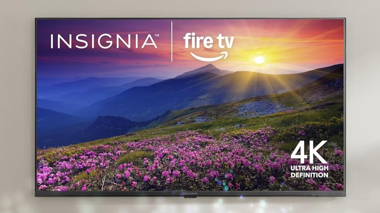 The Insignia Class F50 Series LED 4K displaying a sunny mountainside with a field of blue and pink flowers