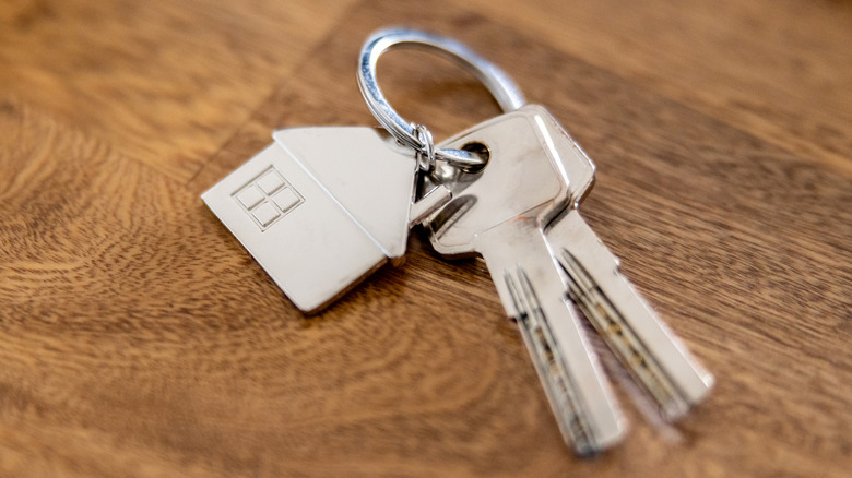 A couple of keys on a keychain.