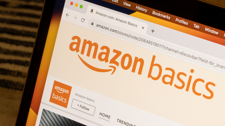 The Amazon Basics store page in a web browser.