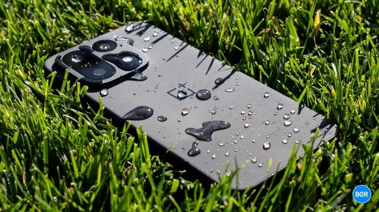 The OnePlus 15 phone in a patch of grass, with water droplets on the back panel.