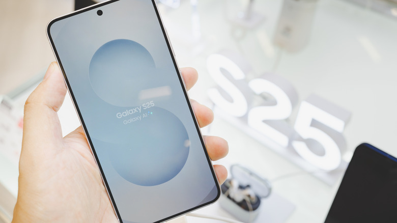 The Galaxy S25 phone in hand.