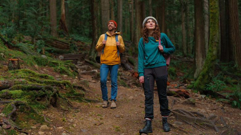 A man and a woman hiking in the woods