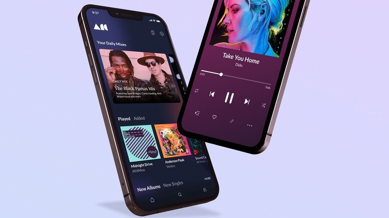 roon arc app
