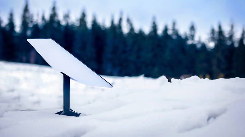 Starlink dish in snow with trees in background