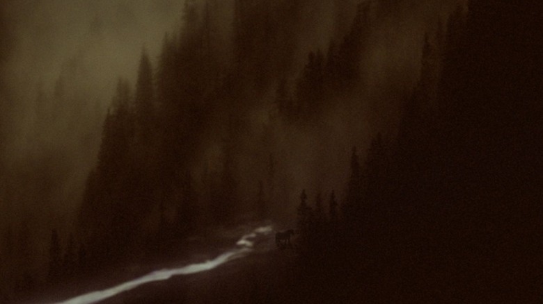 A river disappearing into sepia toned trees in "Sleep Has Her House."