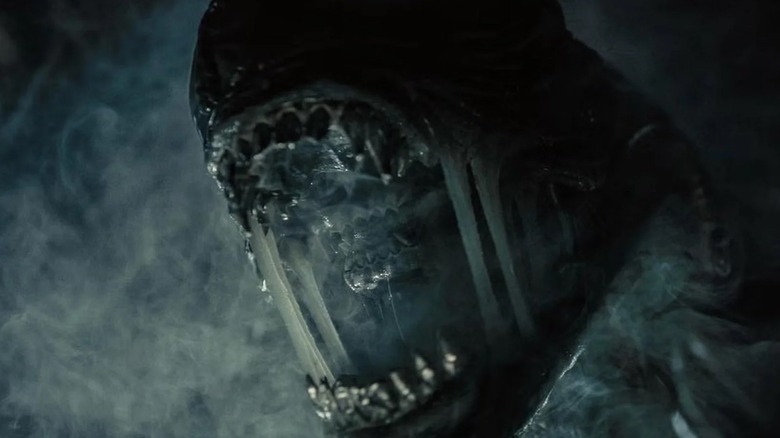 Xenomorph roaring in Alien: Romulus