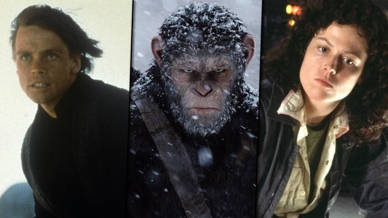Luke, Ceasar and Ripley together